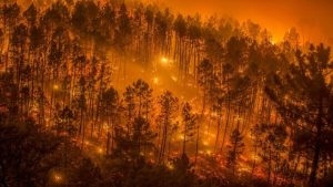 Incendios en España 2026 - Fuente EcoDiario